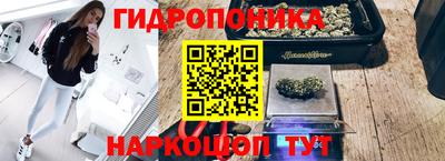 твердый Лесосибирск